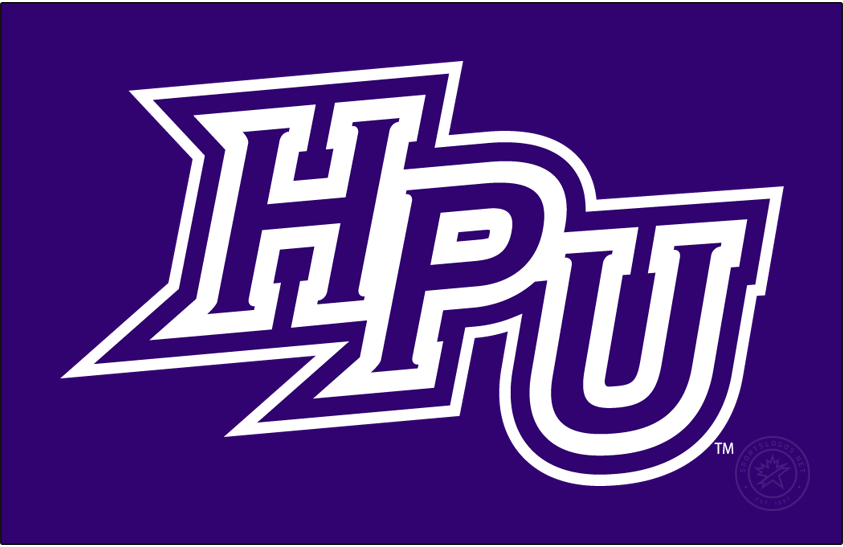 High Point Panthers 2012-Pres Primary Dark Logo iron on transfers for clothing
